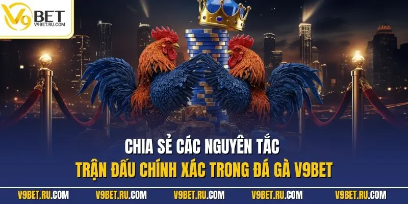 Chia sẻ các nguyên tắc trận đấu chính xác trong đá gà V9BET