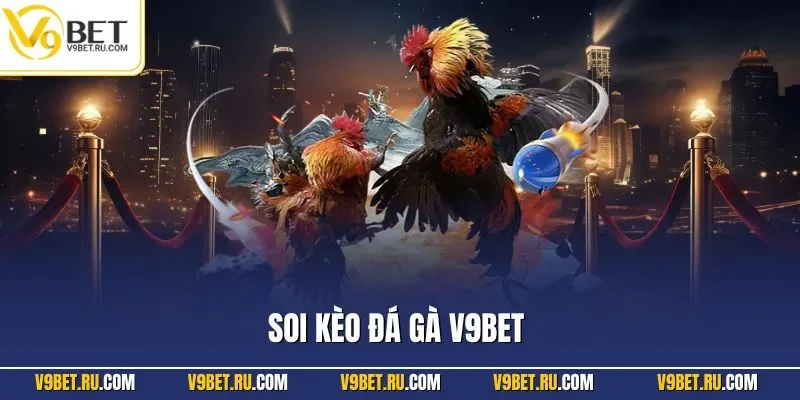 Soi kèo đá gà V9BET